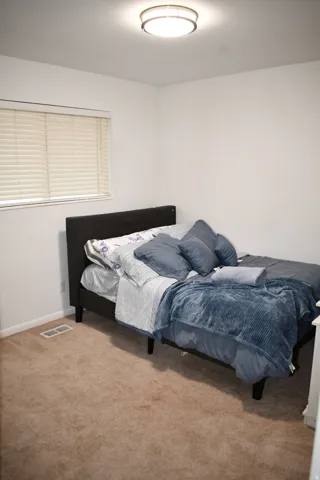 Neutral wall paint, light-colored carpeting, window with blinds, and flush-mount ceiling light fixture