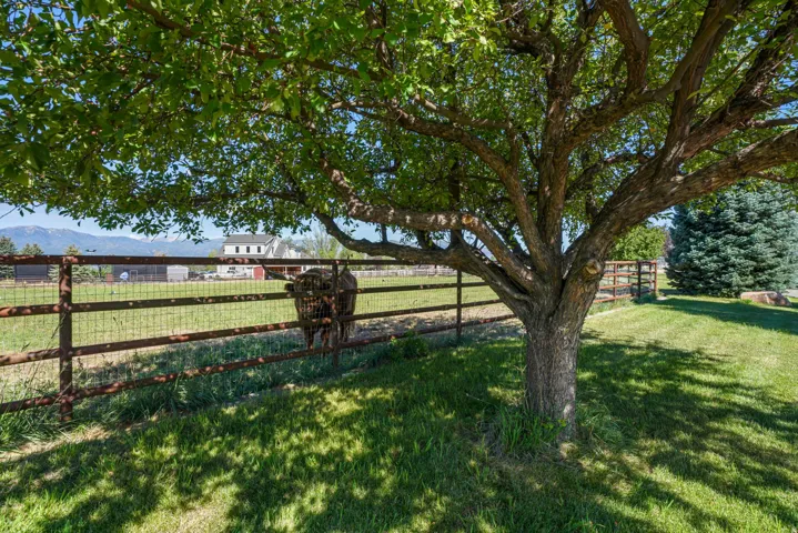 Expansive grassy property with a mature tree, metal fencing, and distant mountain scenery