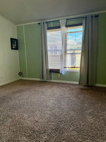 Wall-to-wall carpet flooring, light green wall finishes, and a single window with horizontal blinds