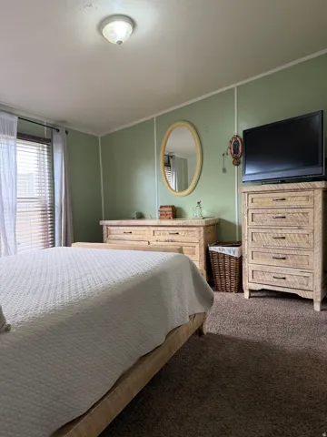 Wall-to-wall carpeting with light green wall paneling, flush mount ceiling light, and window with blinds