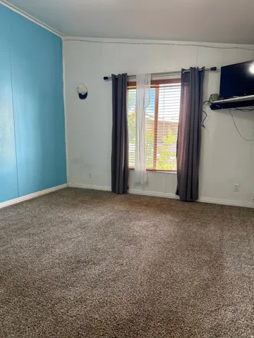 Plush carpet flooring, a window with horizontal blinds, and a mounted wall shelf