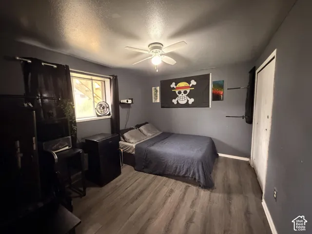 Wood-finish flooring, ceiling fan with integrated lighting, single window with dark framing, and a white bi-fold closet door