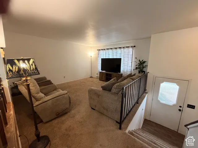 Carpeted living area with white walls and a white ceiling