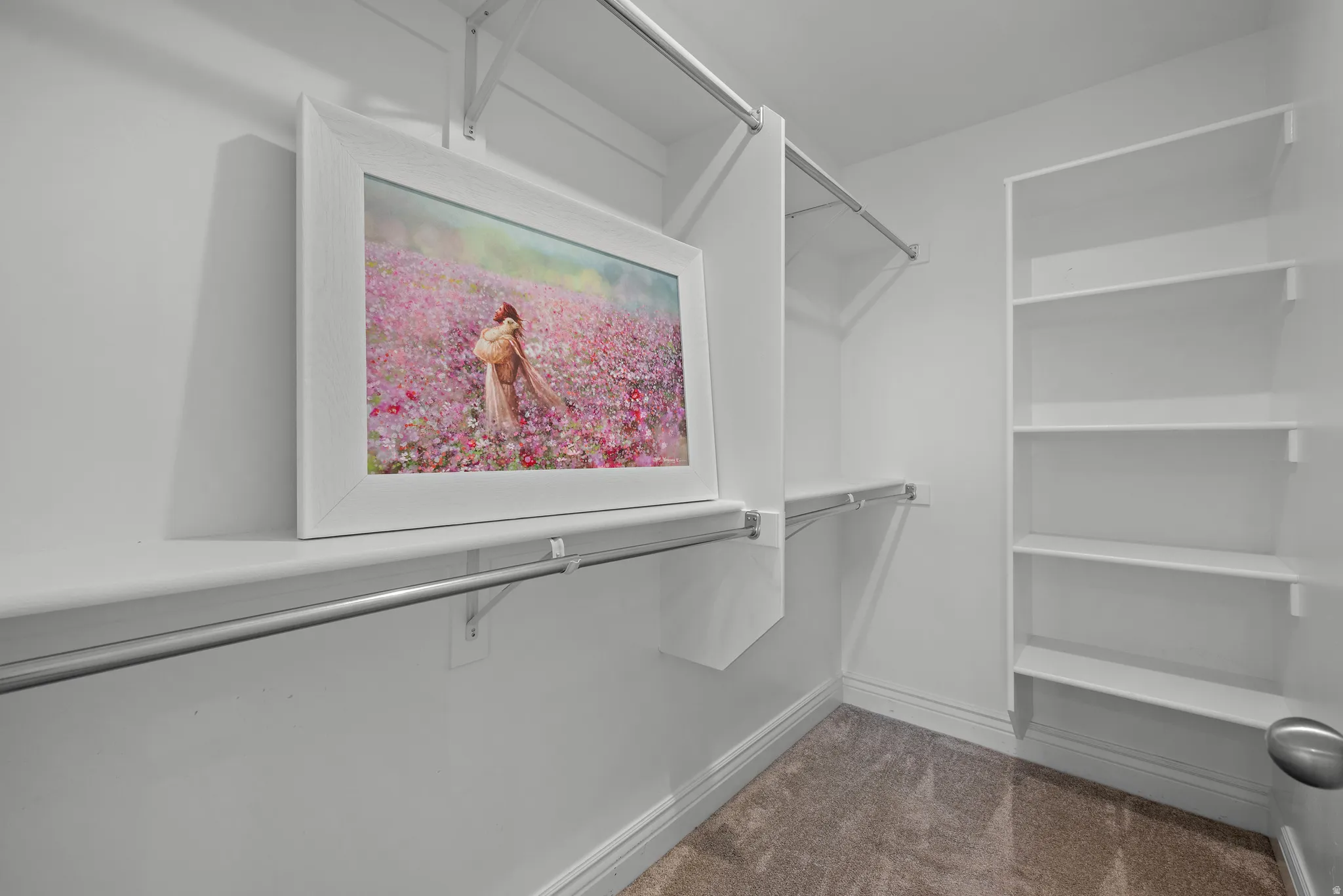 Built-in shelving, multiple hanging rods, and neutral carpeting