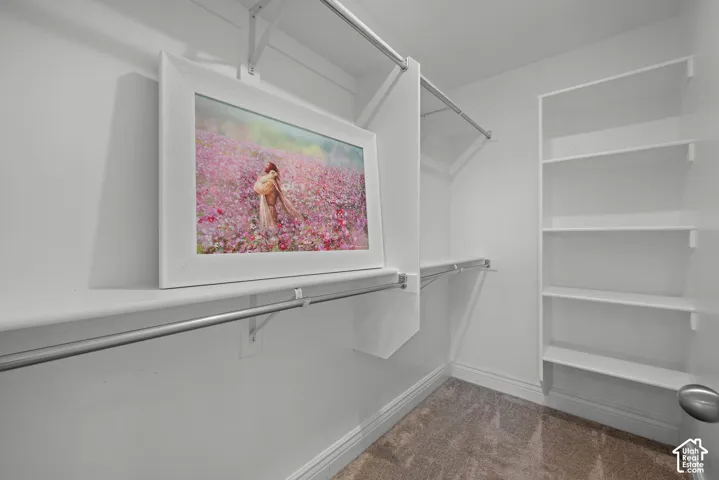 Built-in shelving, multiple hanging rods, and neutral carpeting