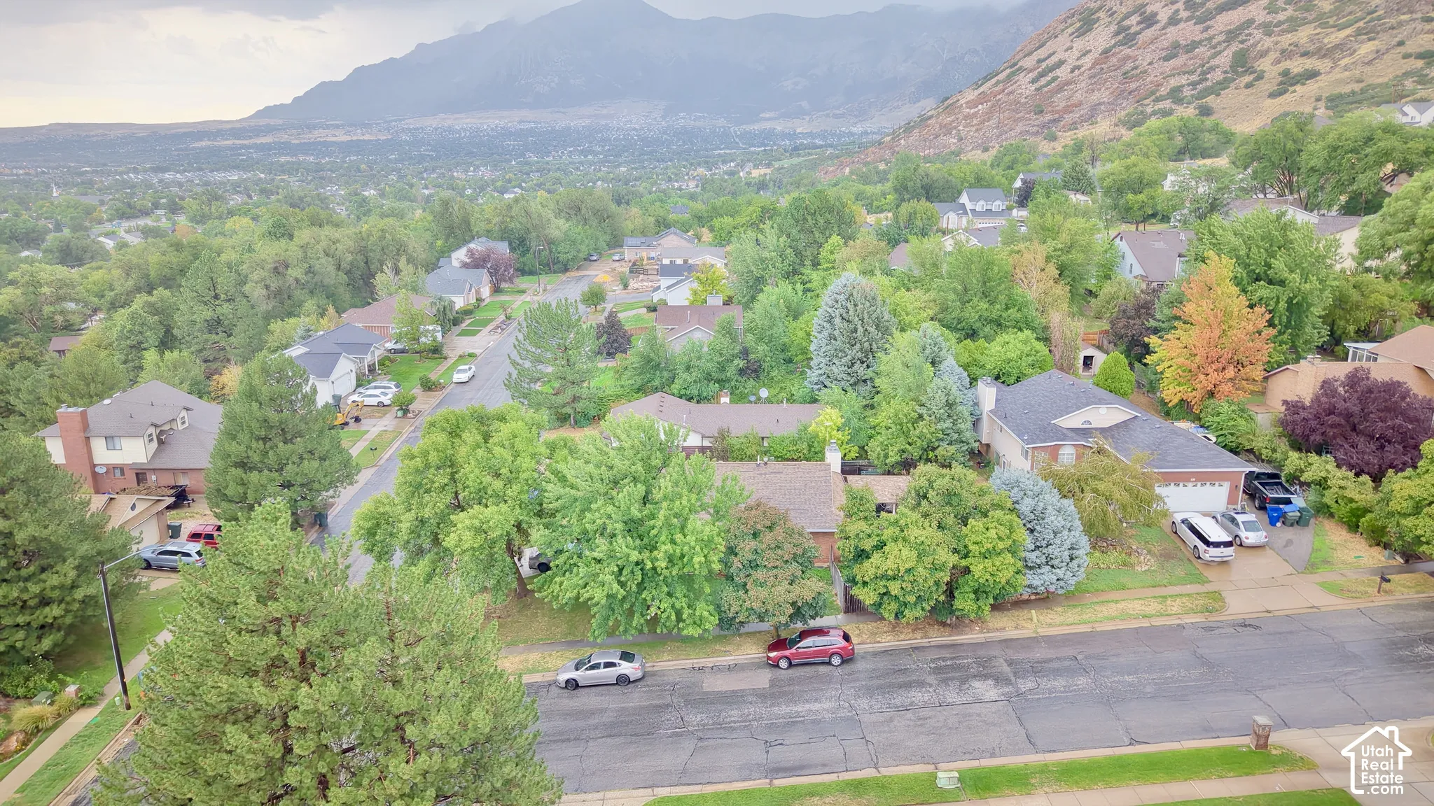Residential neighborhood featuring mature trees and mountain scenery
