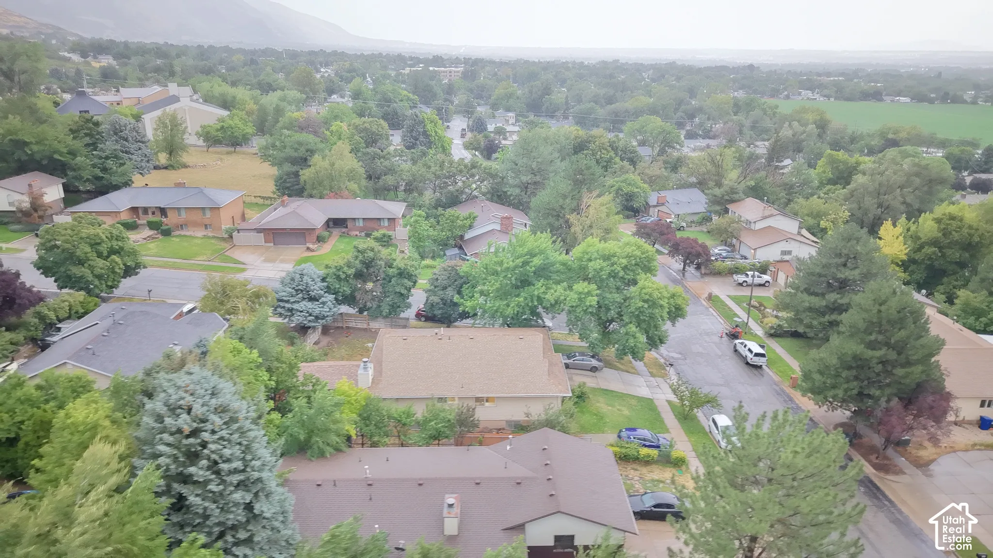 Residential neighborhood with mature trees, paved streets, and a mountainous backdrop