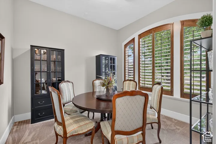 Arched windows featuring wood-frame shutters