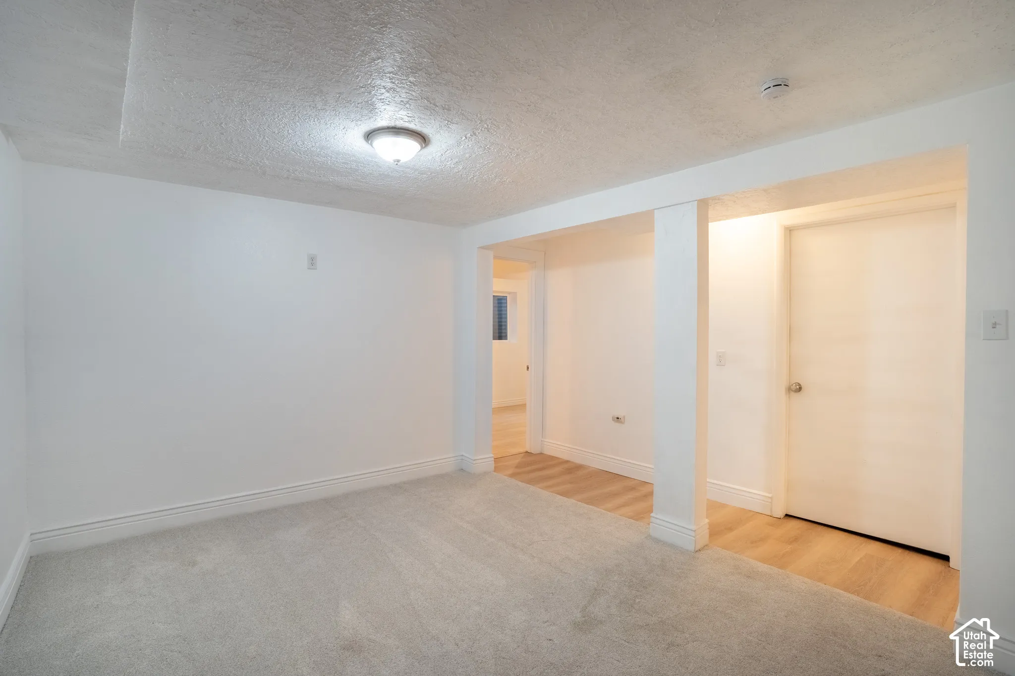 Plush carpeting, recessed lighting, and light wood-finish flooring