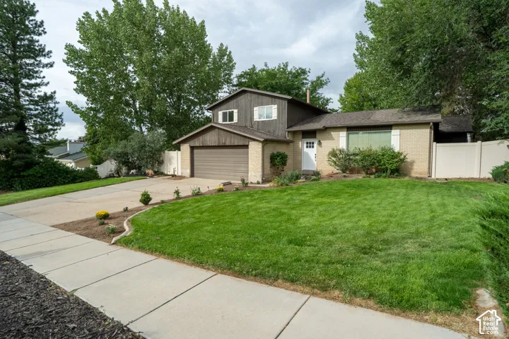 New Sod and landscaping