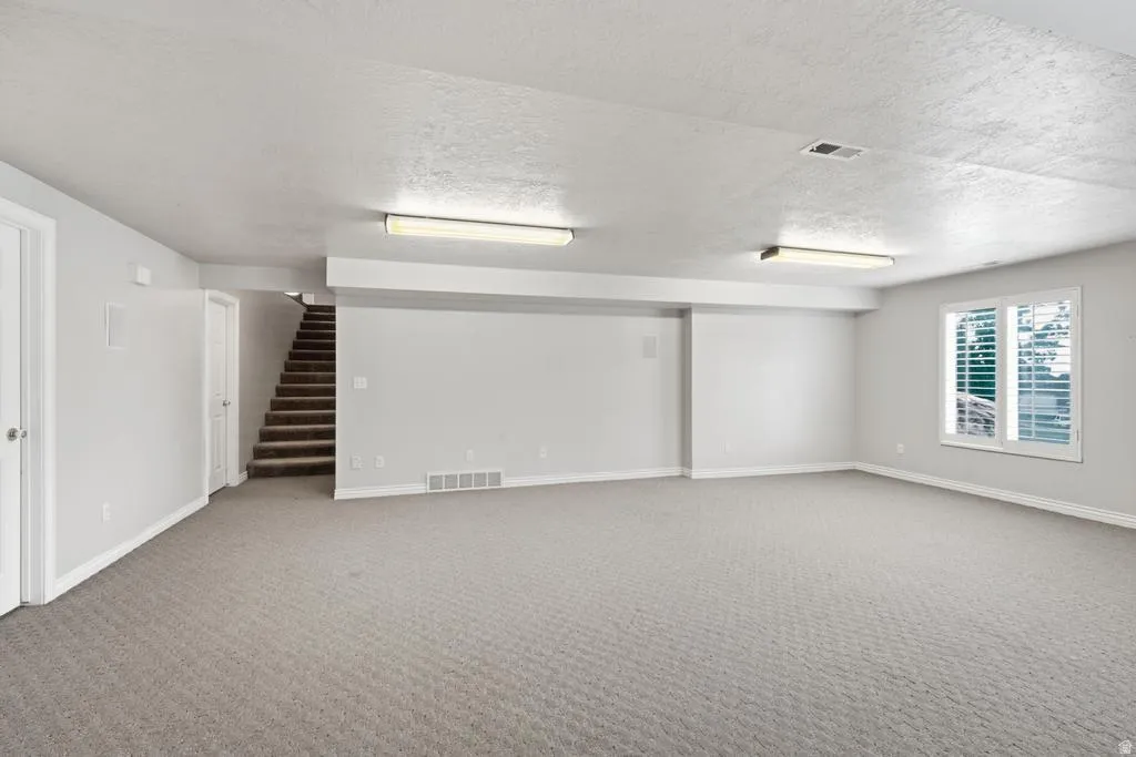 Massive day light basement family room/ rec room