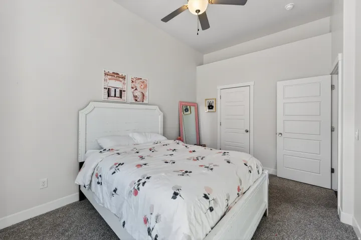 Neutral wall paint, ceiling fan, carpet flooring, and two white panel doors