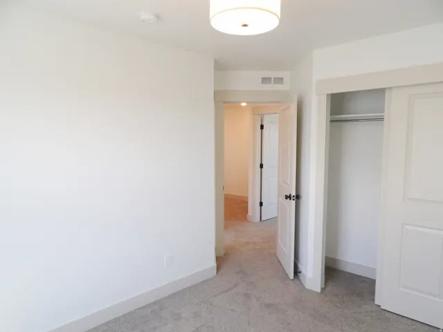 Plush gray carpeting, white trim, and a built-in closet with sliding doors