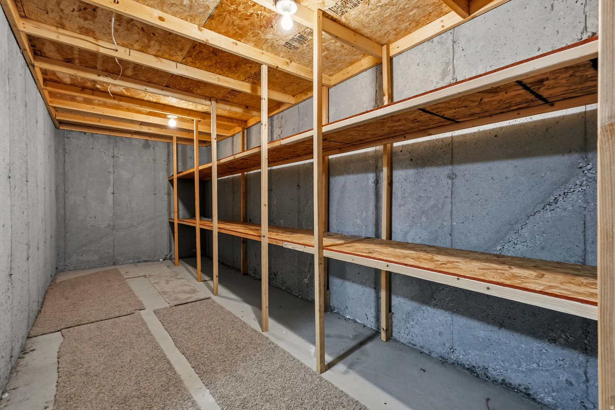 Concrete foundation walls with extensive built-in wooden shelving, overhead lighting, and a concrete floor