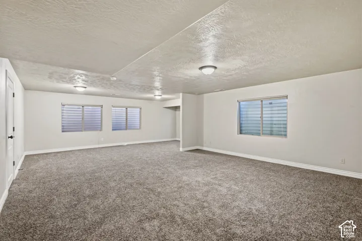 Expansive room featuring plush carpeting, multiple windows with horizontal blinds, and recessed lighting fixtures