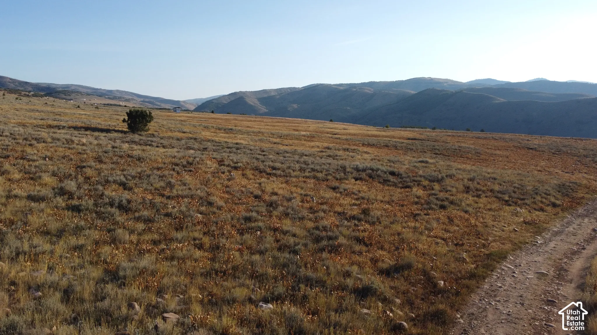 Expansive natural landscape with varied ground cover and a distant mountain range