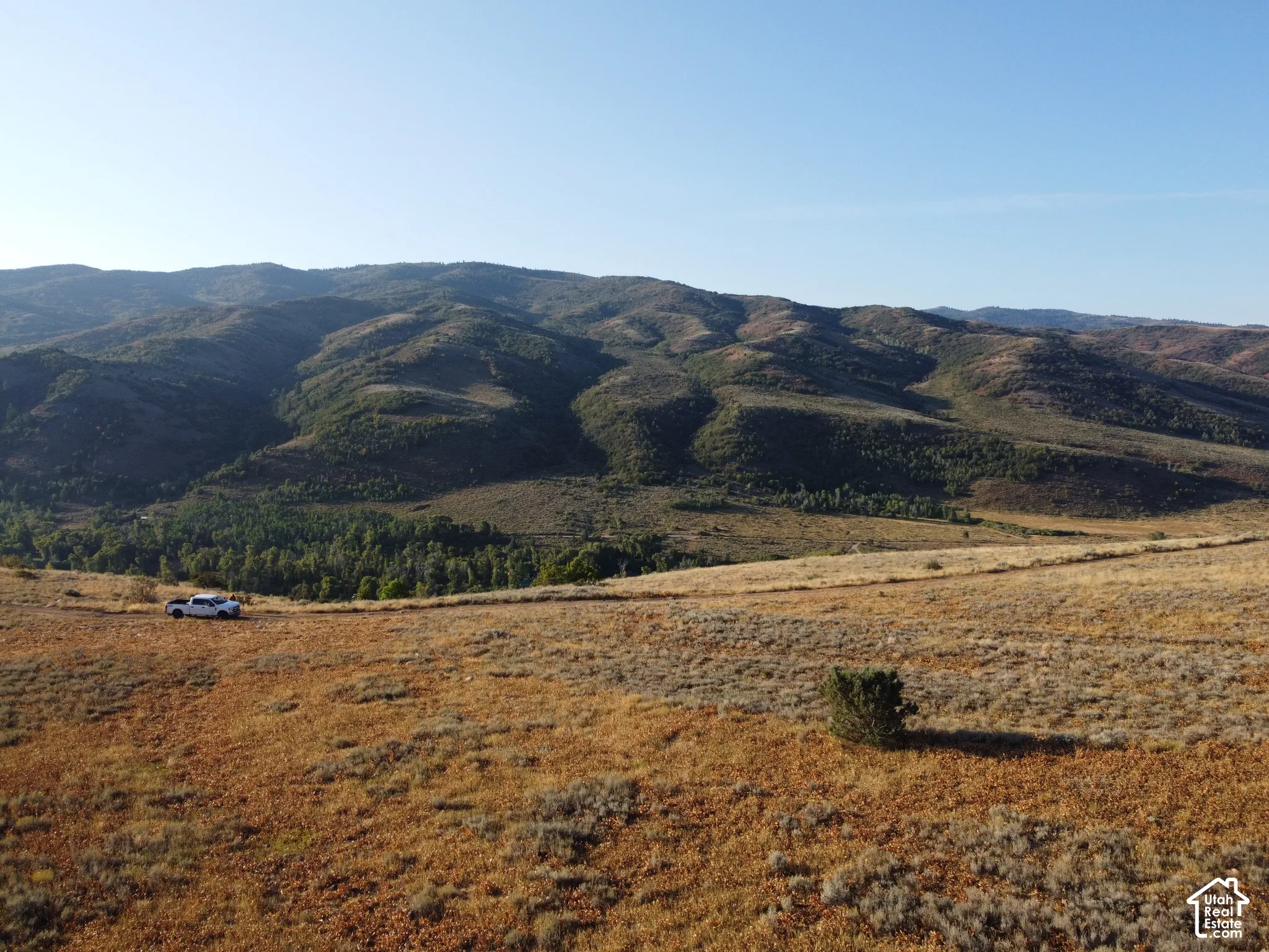 Expansive land featuring natural terrain with distant mountains and scattered vegetation