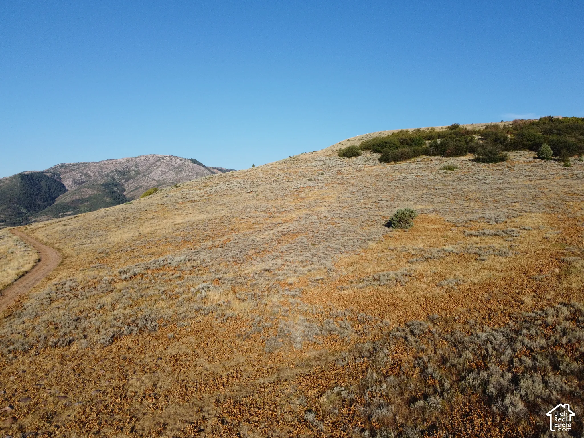 Expansive hillside property with varied natural vegetation, featuring a prominent mountain backdrop and an unpaved road