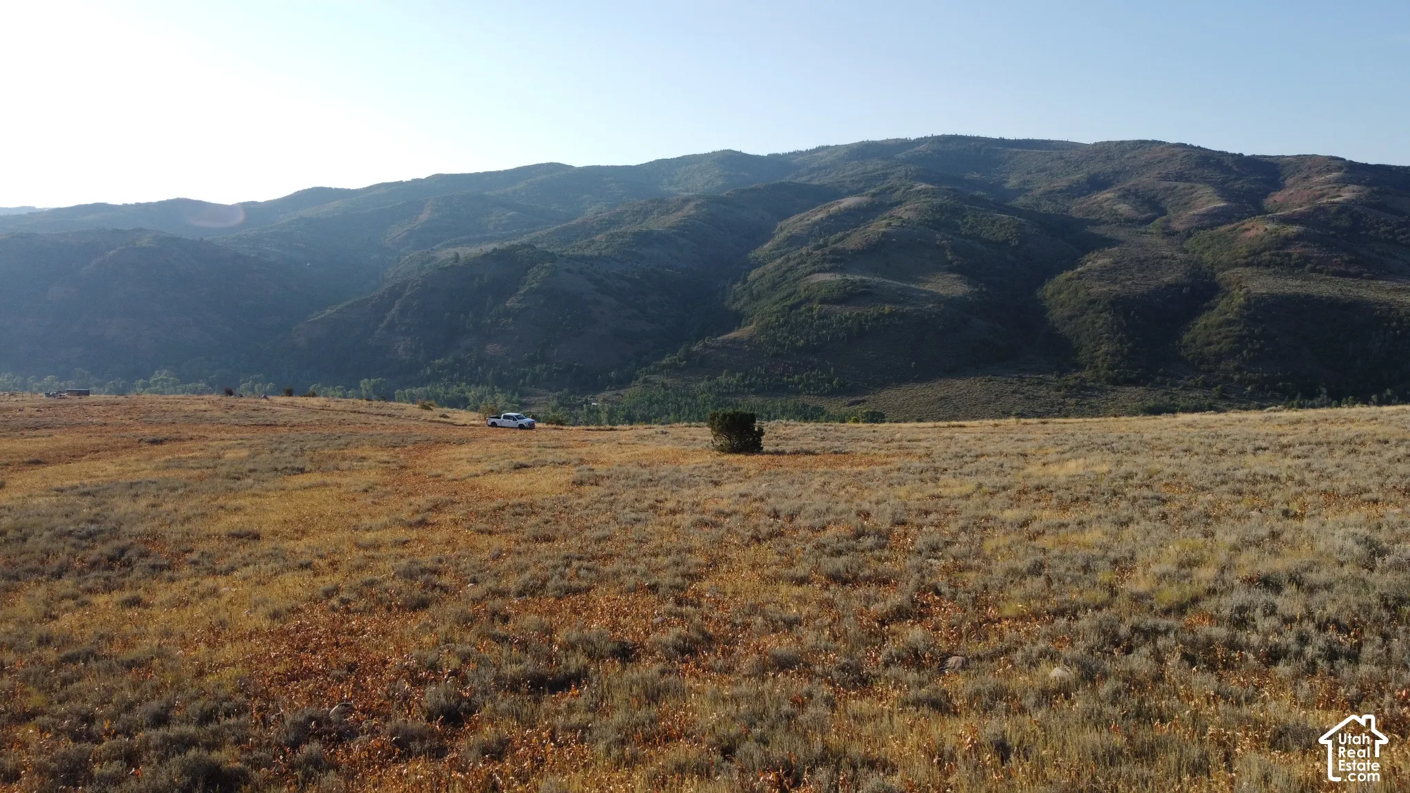 Expansive natural landscape with varied low-lying vegetation