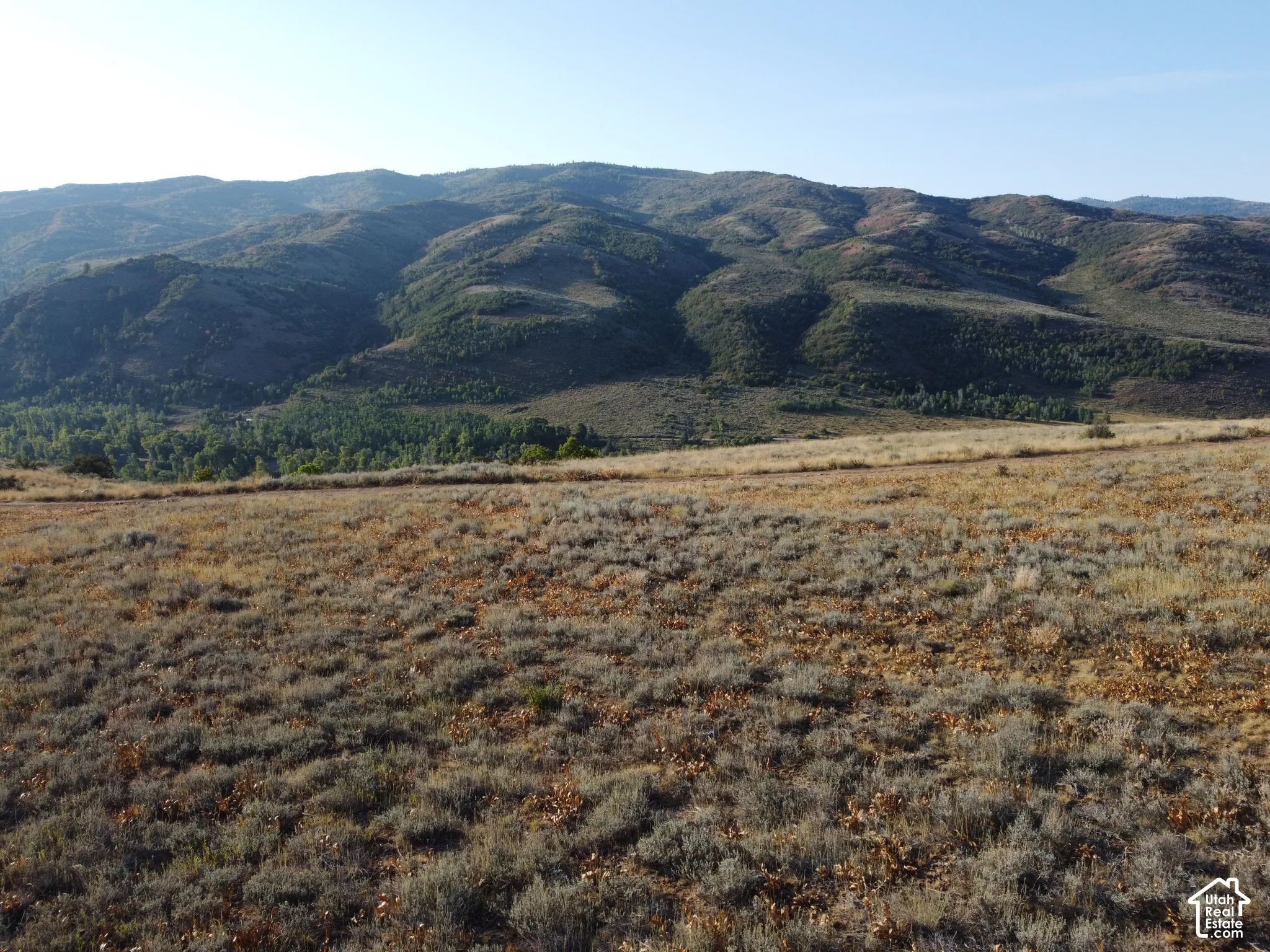 Expansive land offering a wide-open terrain and distant mountainous landscape