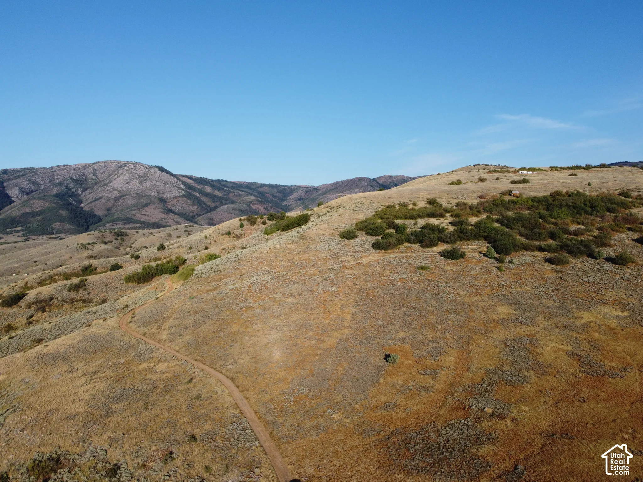 Expansive terrain featuring varied natural vegetation and distant mountains under a clear sky