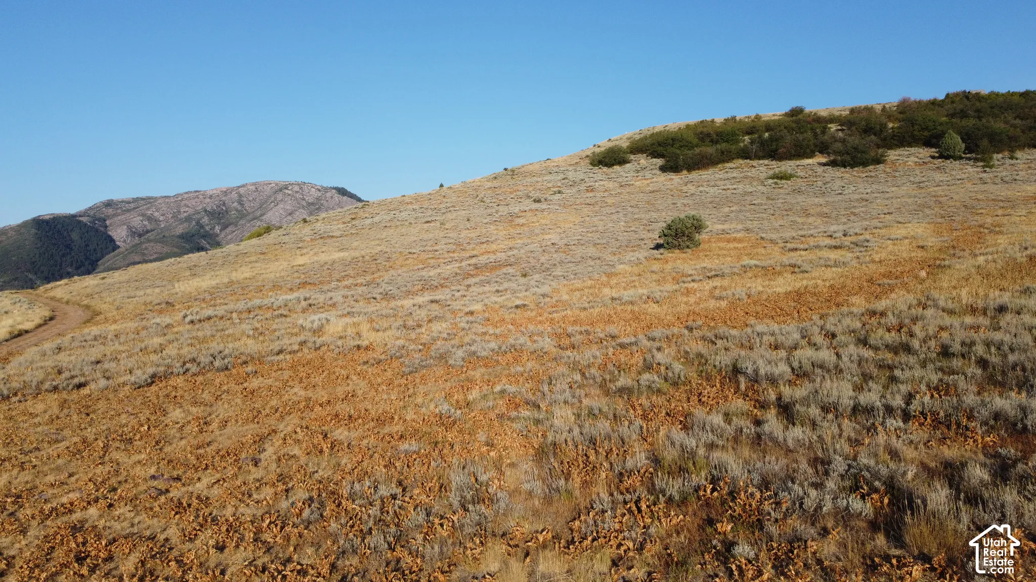Expansive mountain terrain with varied natural vegetation, distant peak, and clear blue sky