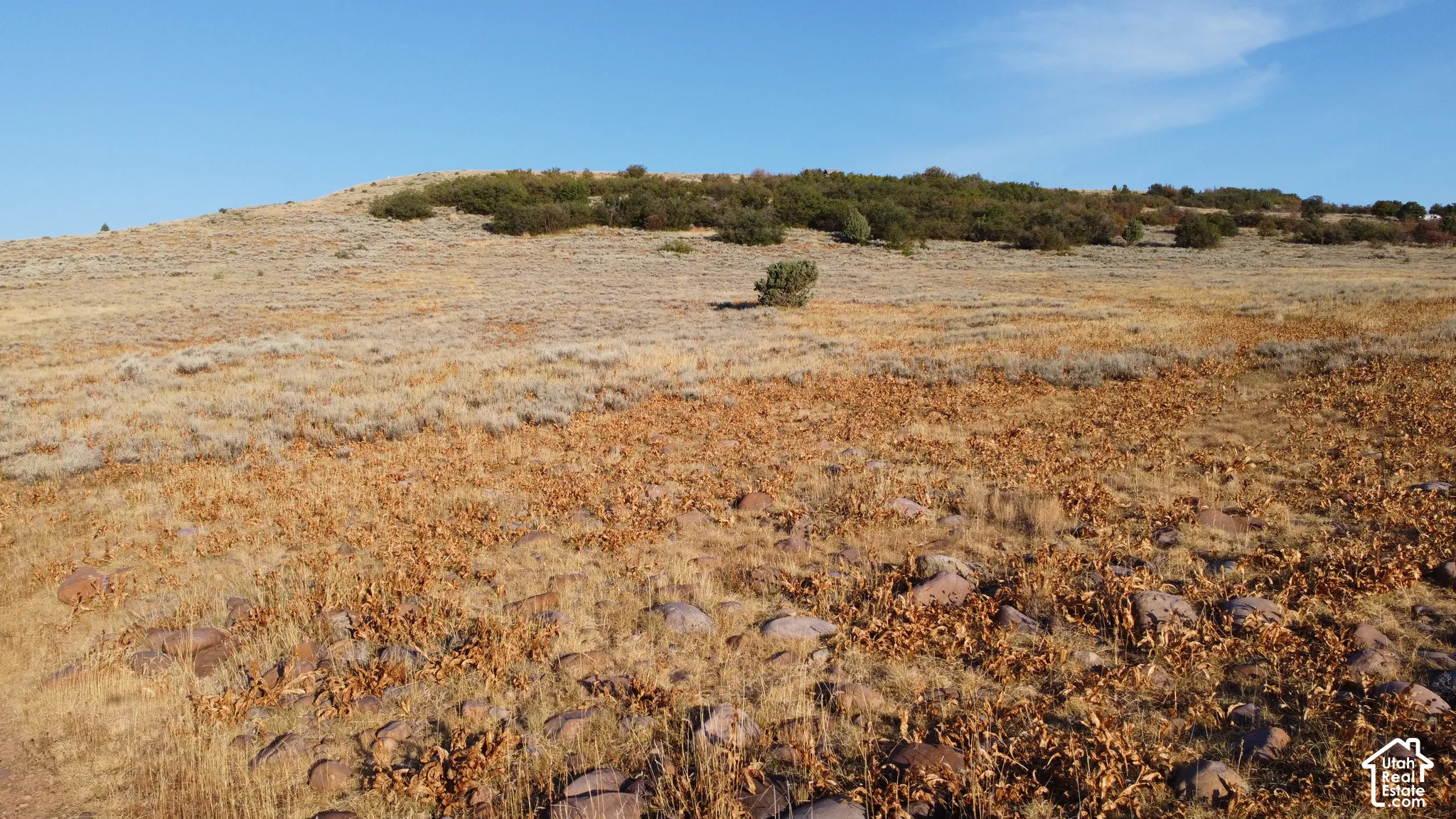 Expansive land parcel featuring natural ground cover, scattered rocks, and distant shrubbery