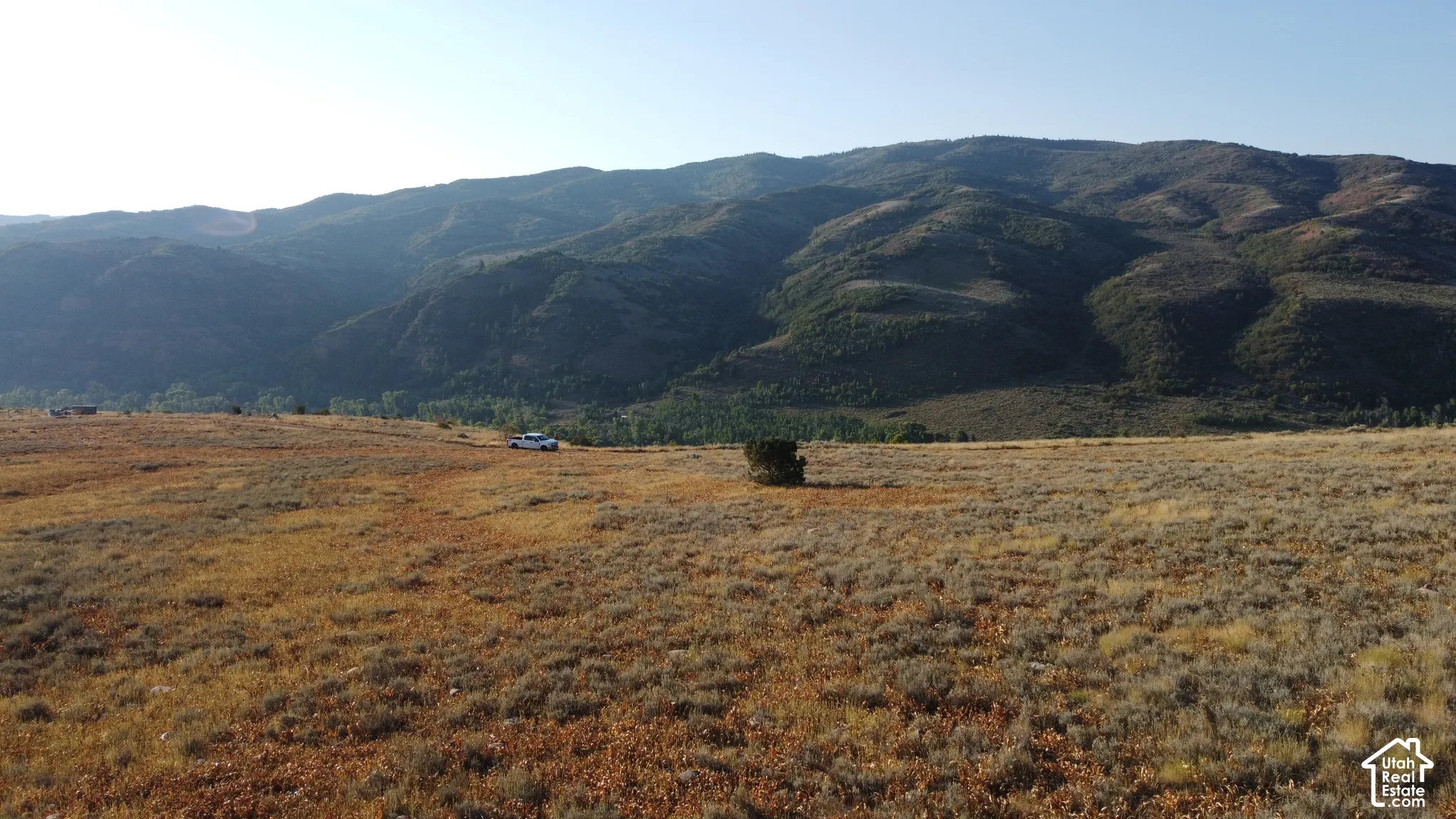 Expansive open terrain with natural vegetation, featuring distant mountainous backdrop