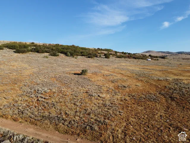 Expansive open land featuring natural vegetation and distant hills