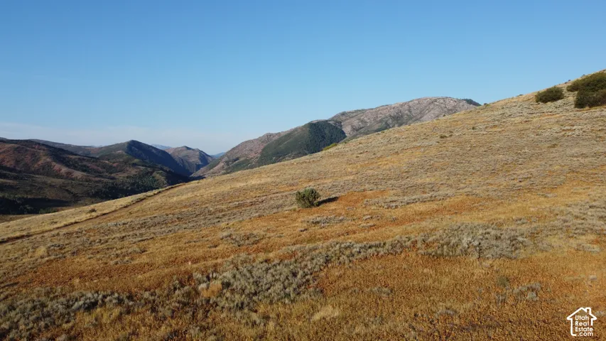 Expansive sloped terrain with natural vegetation