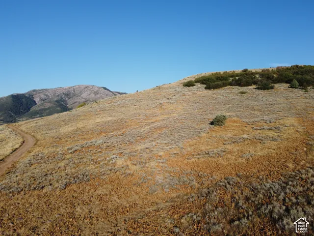 Expansive hillside property with natural vegetation, distant mountain range, and clear blue sky