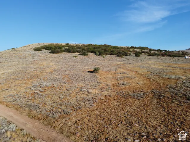 Expansive open terrain with natural vegetation