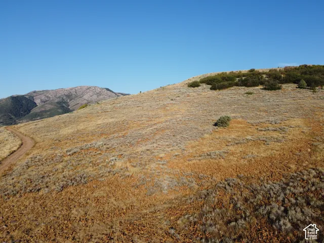 Expansive hillside property with varied natural vegetation, featuring a prominent mountain backdrop and an unpaved road