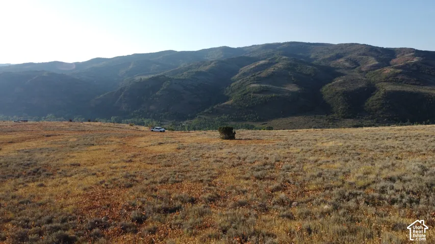 Expansive natural landscape with varied low-lying vegetation