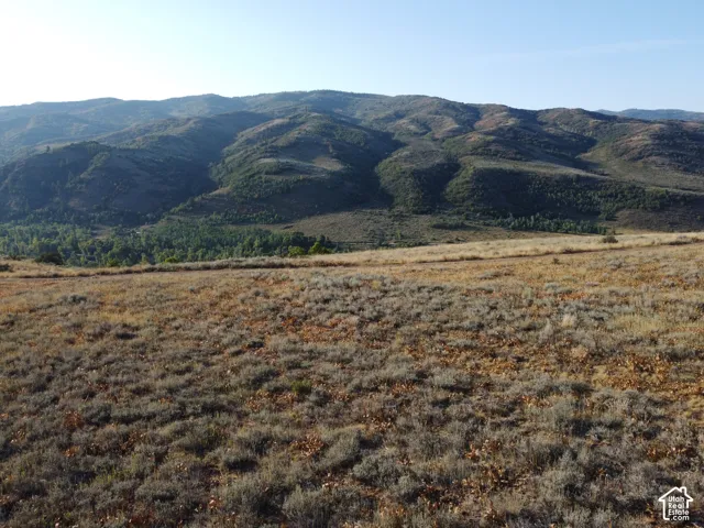 Expansive land offering a wide-open terrain and distant mountainous landscape