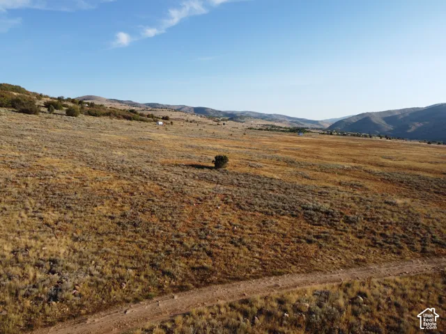 Expansive open land featuring natural grasses and distant mountains
