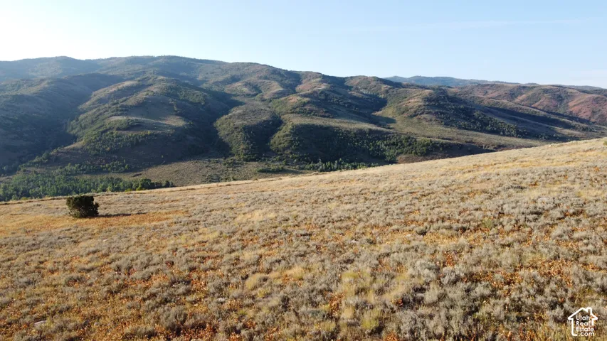 Expansive undeveloped land featuring rolling hills and distant mountains