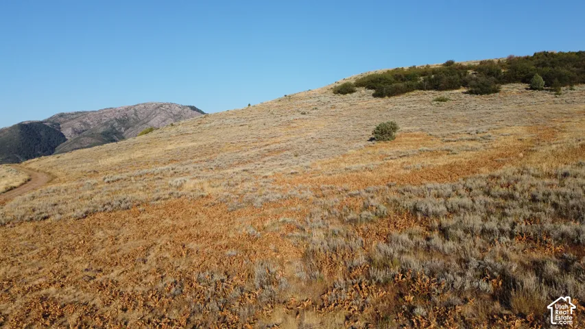 Expansive mountain terrain with varied natural vegetation, distant peak, and clear blue sky