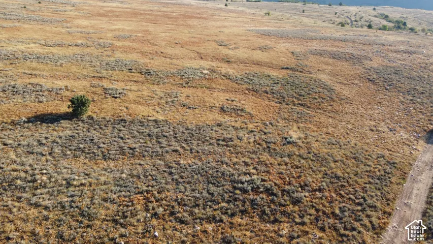 Expansive undeveloped land featuring natural vegetation and a visible dirt road