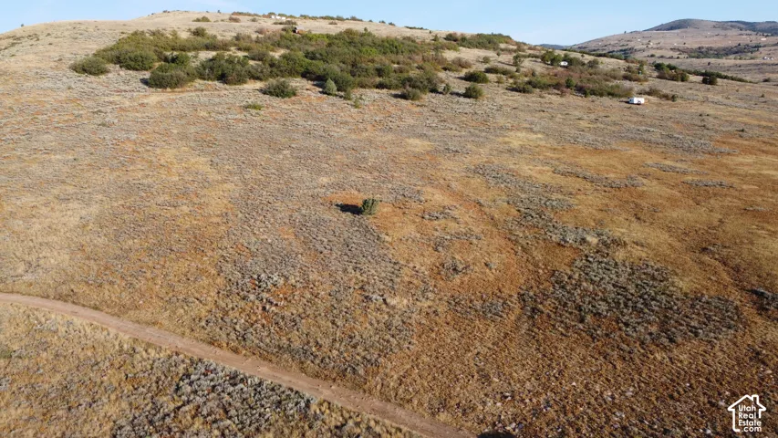 Expansive natural landscape featuring varied terrain, a winding dirt path, and scattered evergreen vegetation