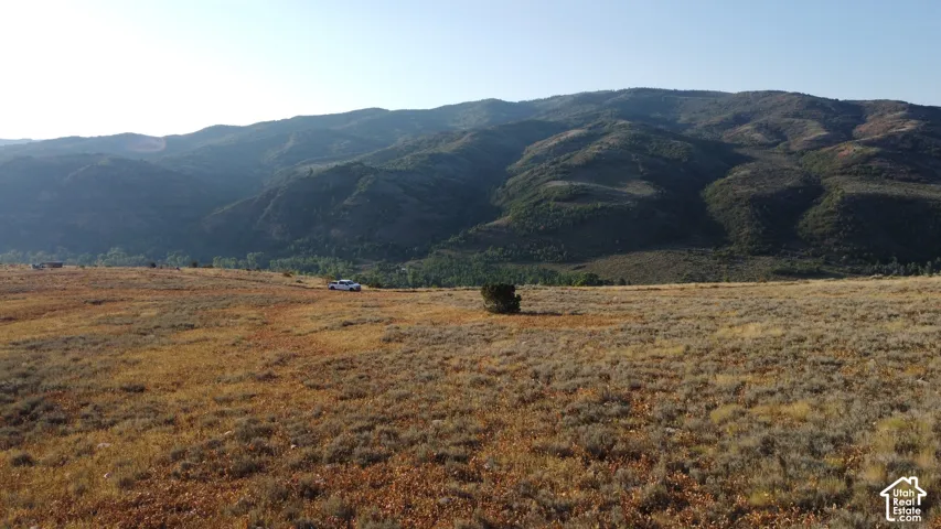 Expansive open terrain with natural vegetation, featuring distant mountainous backdrop