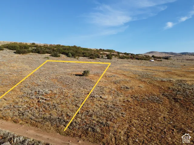 Expansive undeveloped lot featuring natural vegetation and a clear blue sky