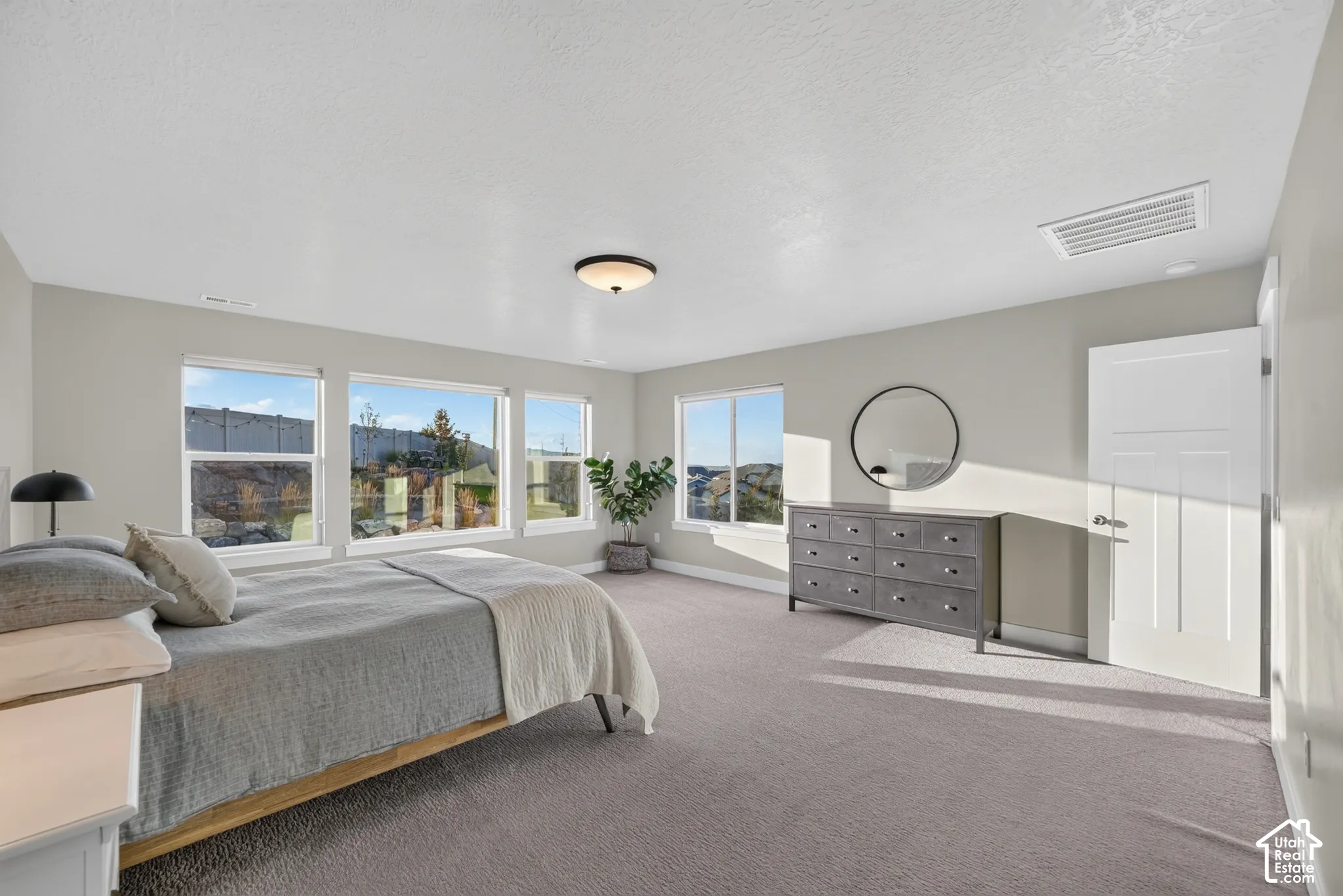 Light-toned carpeting, multiple windows providing natural illumination, and a ceiling-mounted light fixture