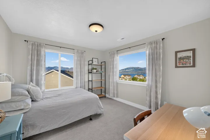 Bright bedroom featuring two large windows, neutral-toned walls, and grey carpeting