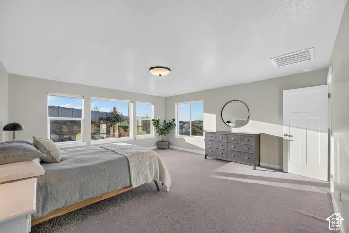 Light-toned carpeting, multiple windows providing natural illumination, and a ceiling-mounted light fixture