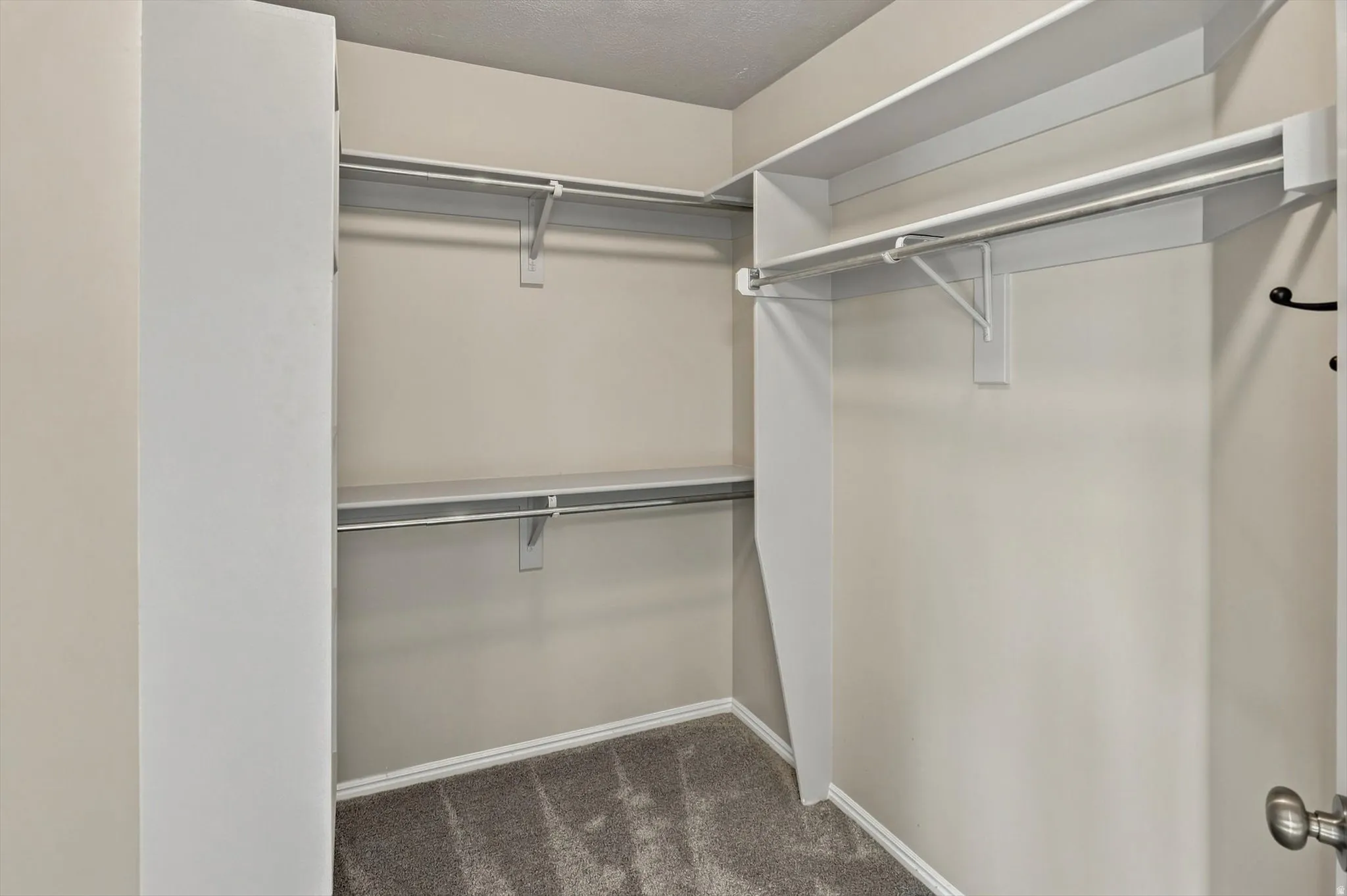 Walk-in closet featuring carpet flooring, multiple shelving units, and hanging rods