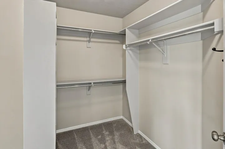 Walk-in closet featuring carpet flooring, multiple shelving units, and hanging rods