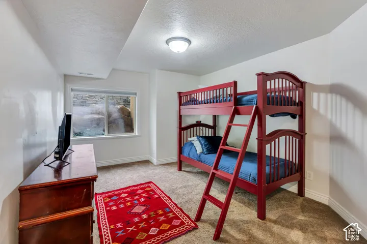 Carpeted room featuring a window with a stone exterior backdrop, white walls, and a ceiling-mounted light fixture