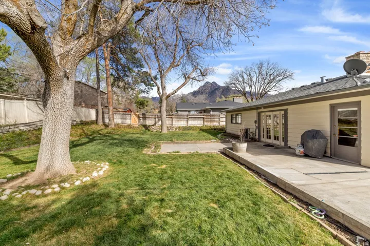 Expansive backyard featuring a mature tree, manicured lawn, and a spacious concrete patio with direct access to the interior via French doors