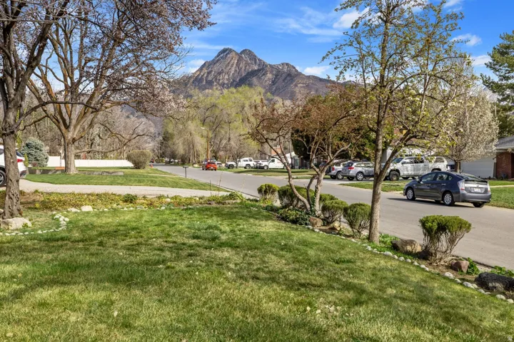 Lush green lawn with mature trees and established landscaping